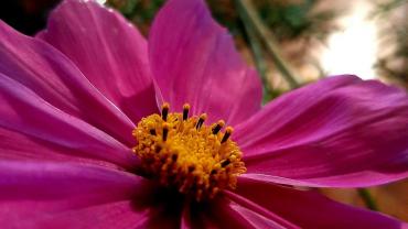 123685382 3676296975741748 1108600723134980536 O