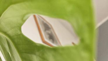 123685388 3676293712408741 4951185902651896609 O