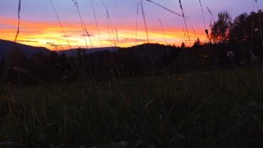 123688070 3676290632409049 7689980244083054942 O