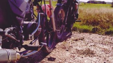 123688075 3676290202409092 8990178677840040645 O