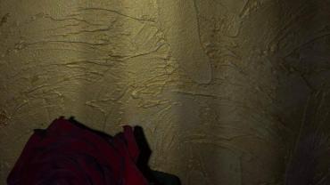 123707954 3676292929075486 6487585682954124814 O