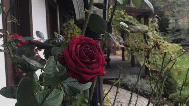 123715585 3676292405742205 1783011174380663410 O