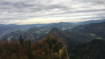 123717807 3676294309075348 8771820347861100100 O