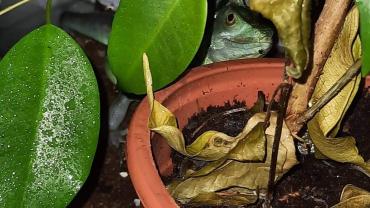 123719591 3676292829075496 1424394124459007227 O