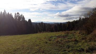 123742071 3676297319075047 6025127518742551984 O