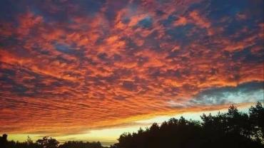 123751046 3676289965742449 2495025651707683257 N