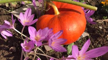 123751524 3676290922409020 4678416086967825693 O