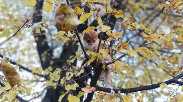 123793969 3676297499075029 7863455172865411336 O