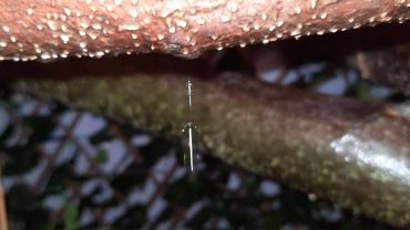 123800439 3676292699075509 6491175638055609729 O