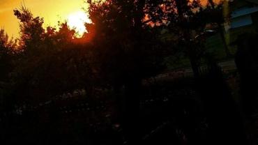 123836119 3676294035742042 373427251135930978 O