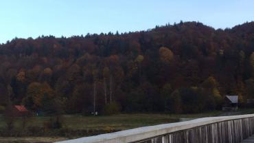 123914212 3676293389075440 2013086482718752921 O