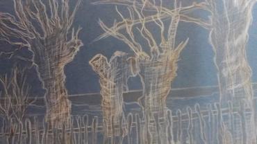 126214902 200478981595282 1054280006384563268 O