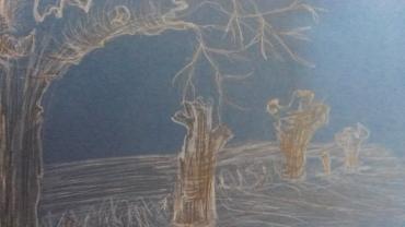 126222545 200478788261968 323498698996373317 O