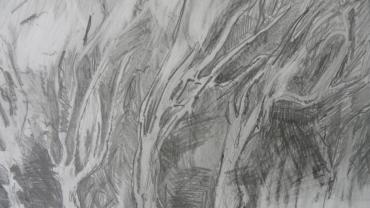 126259120 200478211595359 5670286683128149179 O