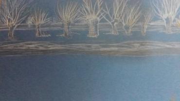 126268012 200479131595267 8604542269504993598 O