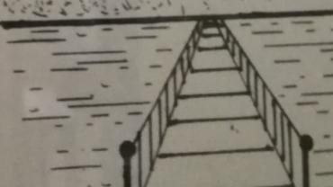 124819651 791799254700020 2050779567483863460 N