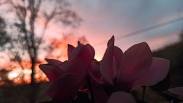 120293998 378652859805312 7728793105625963628 N