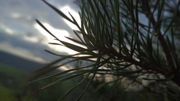 121200421 262450515056954 7812787108257987178 N