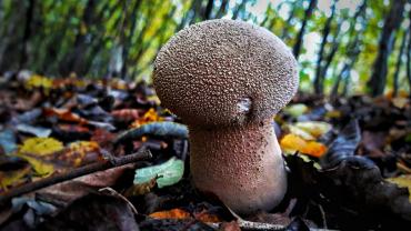 122301020 388460928999214 1465126618544434131 N