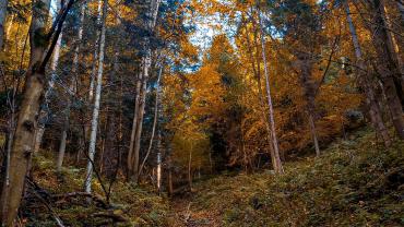 122588537 713406352595781 4243444670486644138 N