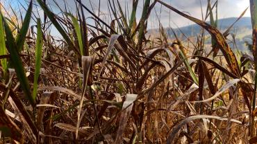 122719012 354660029176560 1062705401367971290 N