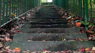 122848681 10214167333455996 7423543654655278869 O