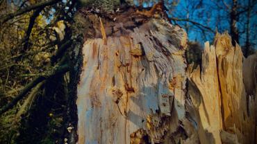 122944904 1040566073041332 4693654858622824903 N