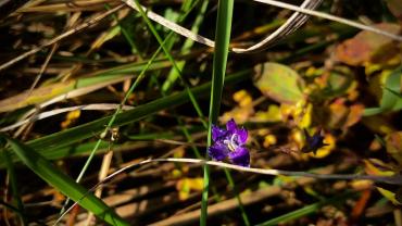 122976364 555191261997789 649734391231128981 N