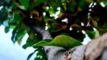 122980450 856951668407735 3663875076555958435 N