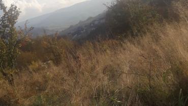 123925233 380876026577971 4214141878518946840 N