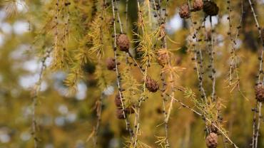 124769337 2843665912625428 4716240197951714524 N