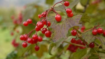 124911144 360874671688817 2479731317057915271 N