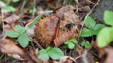 124930672 289545785617022 7964292639399697681 N