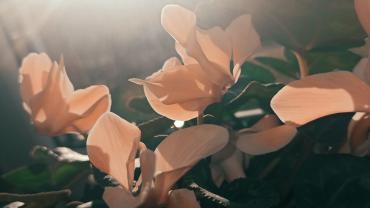 125400633 2428703080768392 5121877982147215949 N