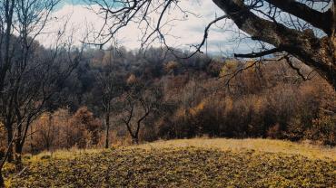 125518883 815241065713865 4416384945656436945 N