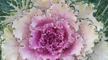 125967965 247974773539163 7663952111128991892 N