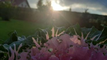 125977191 126603862339075 720858637032392477 N