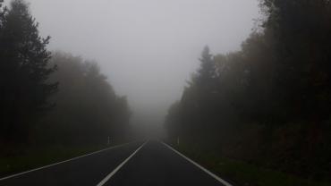 125982966 1622874217921148 7890239378846378152 N