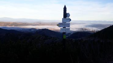 126028006 196775761914212 2166259499766960972 N