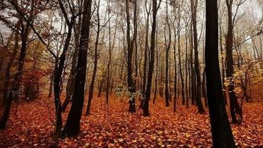 126414901 417668469400894 8212535582526183778 N