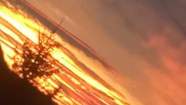 126513141 433067554749606 611256834403095868 N