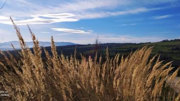 126525378 187918436259814 6898587959287191796 N