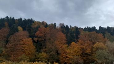 126525925 1050475215377291 1675183182051392787 N