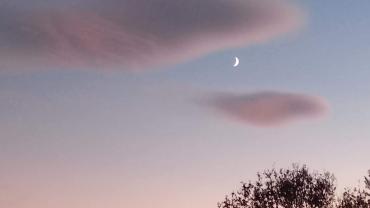 126923294 183044030094816 8076321832009519553 N