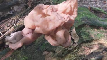 126957494 705197183723845 7127542178971145204 N