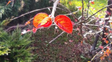 127015461 660040221379187 7403643256296122445 N