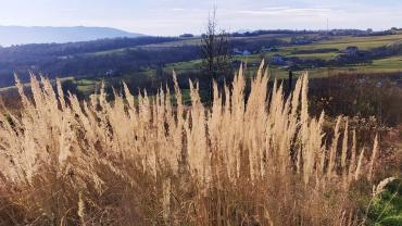 127025333 3594639773919113 4700333999485727861 N