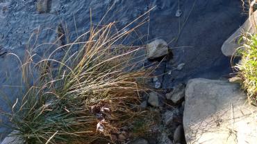 127038184 851863465600655 4248749366384256889 N