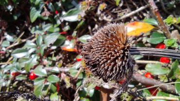 127135432 2754854844774387 9040574136749551294 N