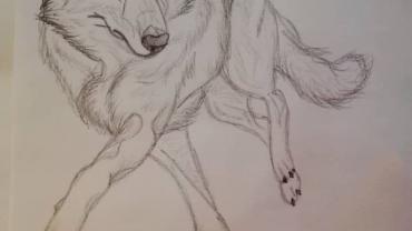 128872676 209518430691337 6855120806826292932 N